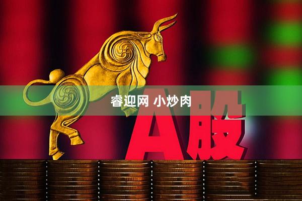 睿迎网 小炒肉