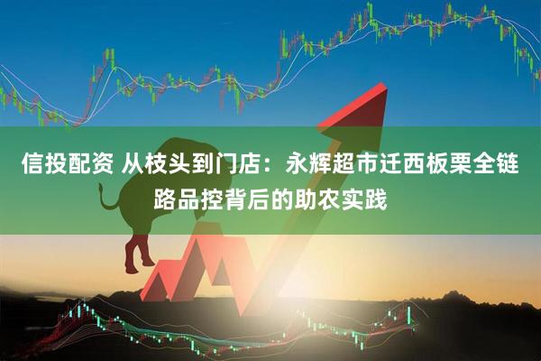 信投配资 从枝头到门店：永辉超市迁西板栗全链路品控背后的助农实践